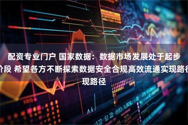 配资专业门户 国家数据：数据市场发展处于起步阶段 希望各方不断探索数据安全合规高效流通实现路径