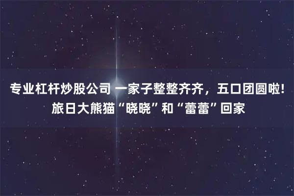 专业杠杆炒股公司 一家子整整齐齐,五口团圆啦! 旅日大熊猫“晓晓”和“蕾蕾”回家