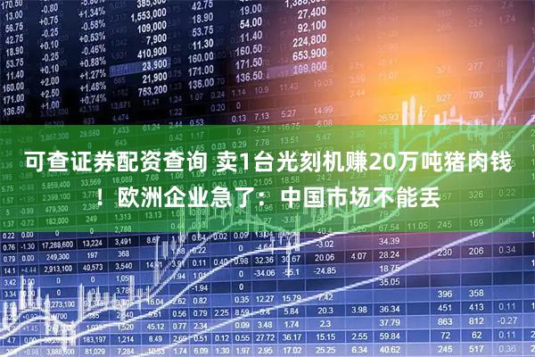 可查证券配资查询 卖1台光刻机赚20万吨猪肉钱！欧洲企业急了：中国市场不能丢